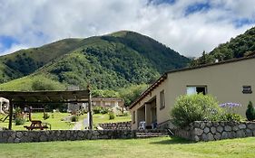 Los Carolinos